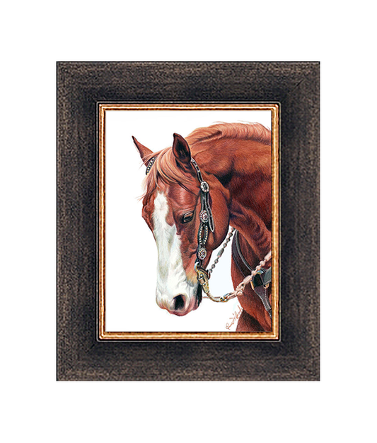 "Red" Giclee + Frame Magellan Classic