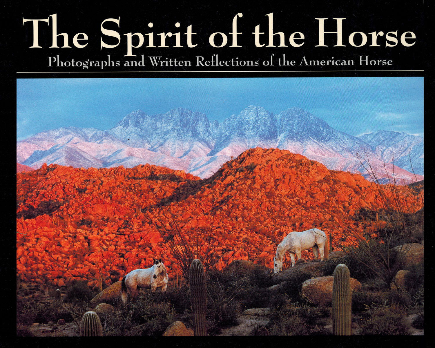 The Spirit of the Horse - BooksOnHorses