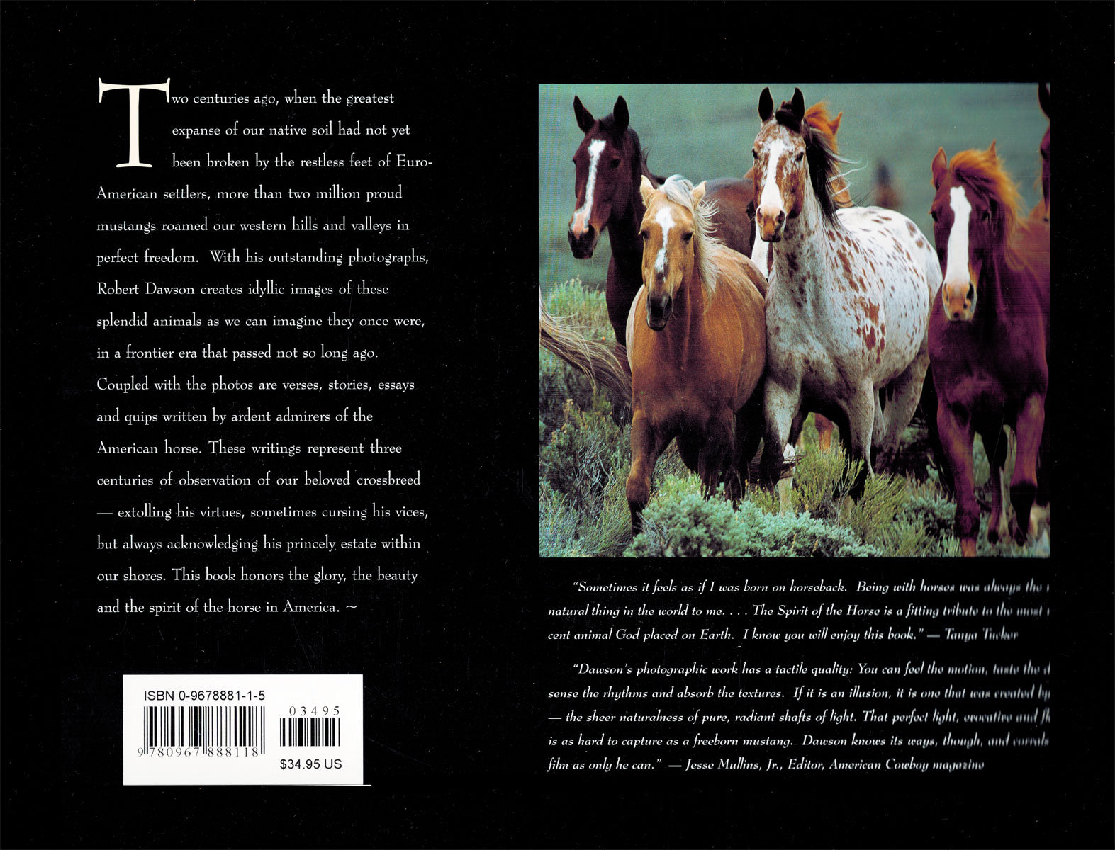 The Spirit of the Horse - BooksOnHorses