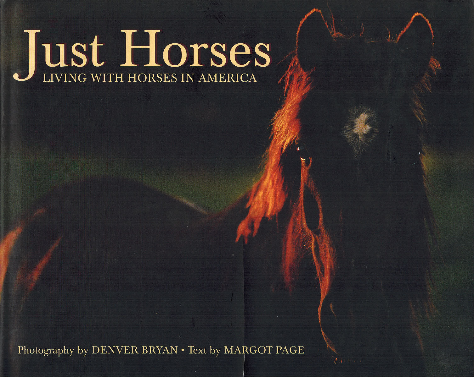 Just Horses - Large Version - BooksOnHorses