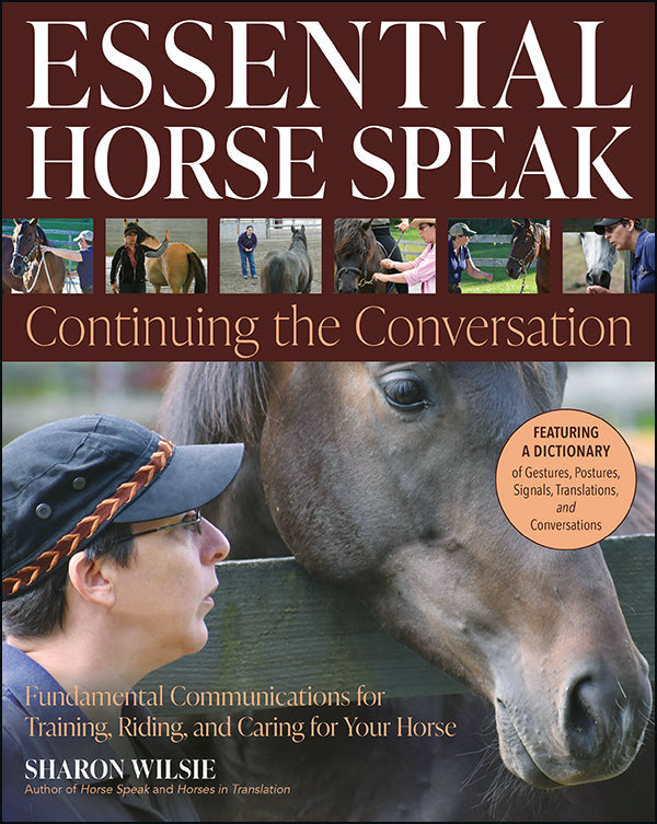 Essential Horse Speak: Continuing the Conversation
